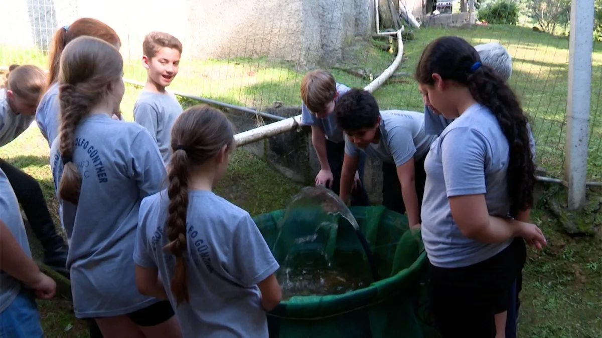 Ideia de peixe grande: crianças criam tilápias dentro de escola, aprendem matemática em SC e conquistam espaço na final de competição internacional