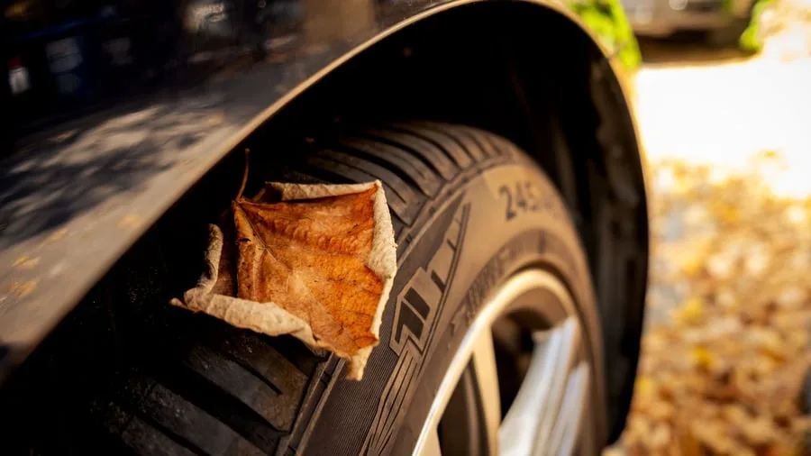 10 Modelle in 245/45 R17: Welche Ganzjahresreifen haben im Reifentest die Nase vorn?