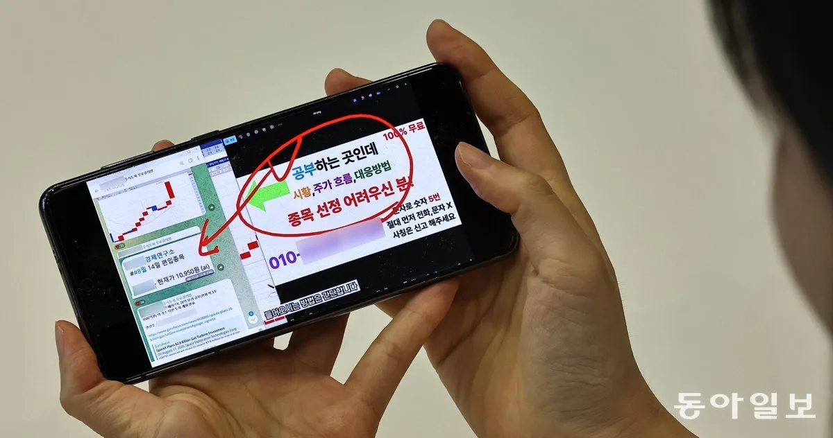 “당장 사라던 유튜버 추천종목 급락”… 알고리즘에 갇힌 개미들
