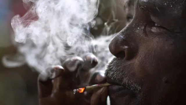 Produção de tabaco aumenta em África e OMS deixa alerta