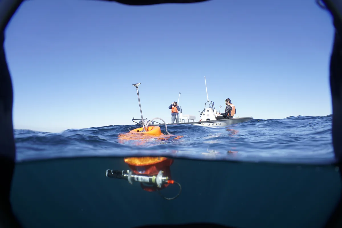 Do peixe à energia: como o calor recorde dos oceanos pode encarecer alimentos e afetar turismo