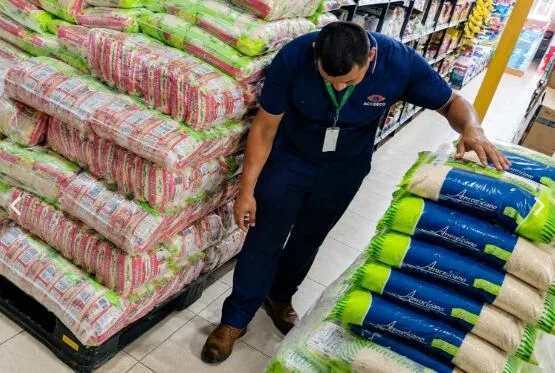 En Panamá habrá disponibilidad de arroz nacional hasta abril de 2027