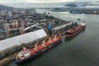 Safra de soja do Brasil pode cair “um pouco” com El Niño, diz executivo