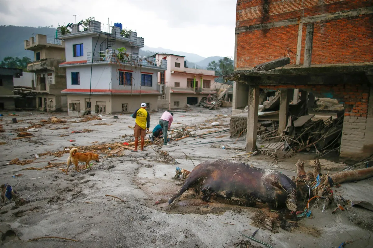 China eleva a 16 la cifra de ciudadanos fallecidos tras las devastadoras inundaciones en Nepal