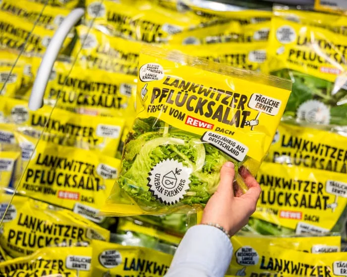 ‘Fresh from the roof’: the supermarket growing salad a few metres above the tills