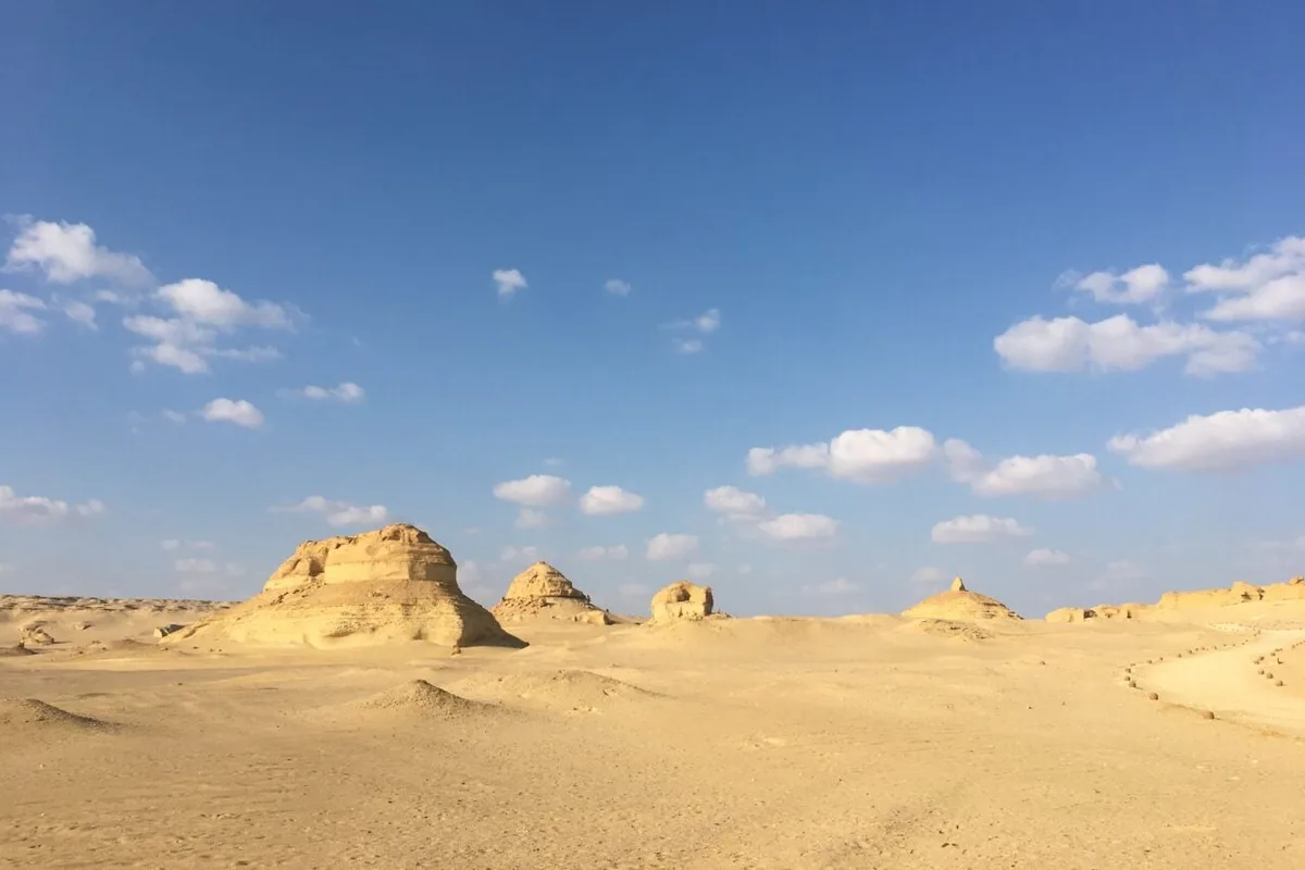 Evidence of Ancient Sharks Found Buried in the Egyptian Desert