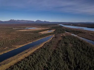 A jungle grows in the Arctic, but warming is changing Earth's mini-greenhouse