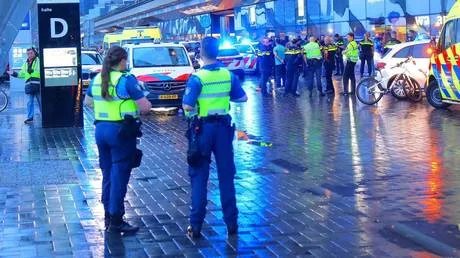 TikToker stabs three on livestream in Amsterdam – media