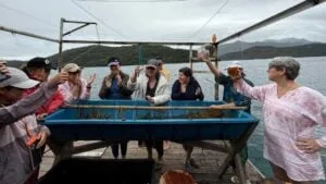 Chefs viram guias de viagem para levar turistas a experiências “fora do cardápio”