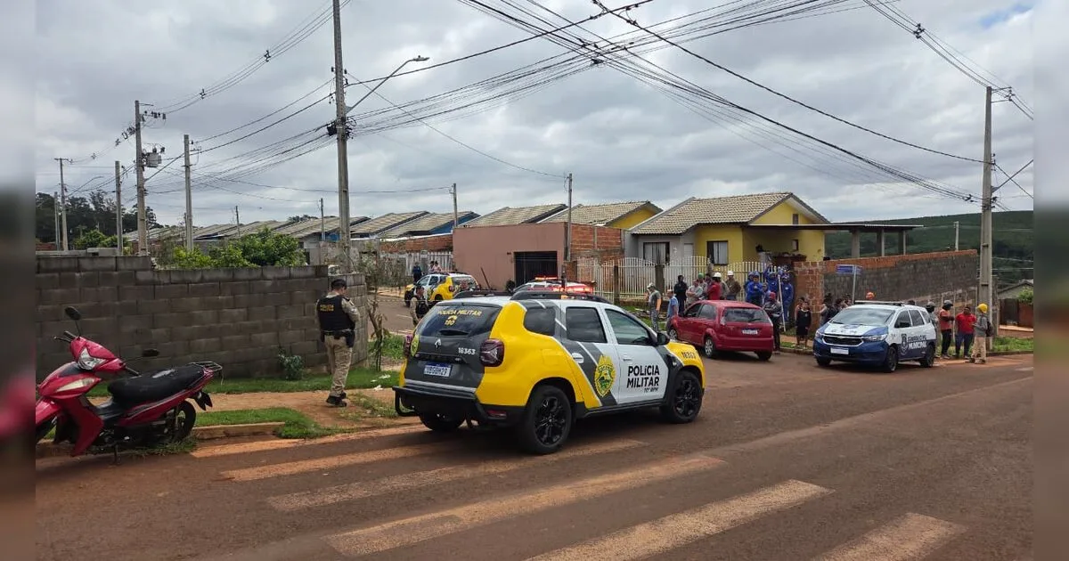Criança morre após ser atacada por Pit Bull em Apucarana