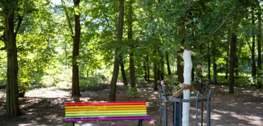 Berlin nach CSD-Anschlag: Regenbogenbank im Tiergarten zerstört