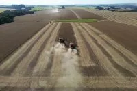 Pedidos de recuperação judicial no agro sobem 22% no 1º trimestre