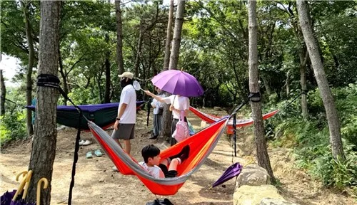 '숲속 힐링'…정읍 치유의 숲, 21일부터 무료 시범운영