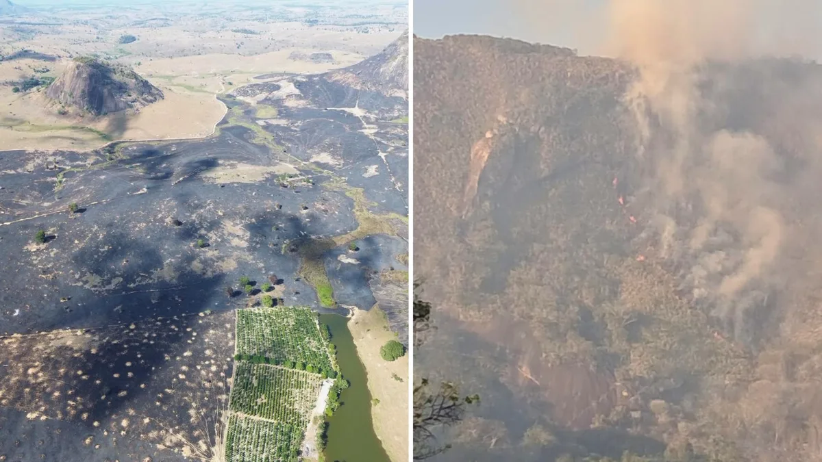 Incêndios destroem área de 280 hectares em Ponto Belo no ES