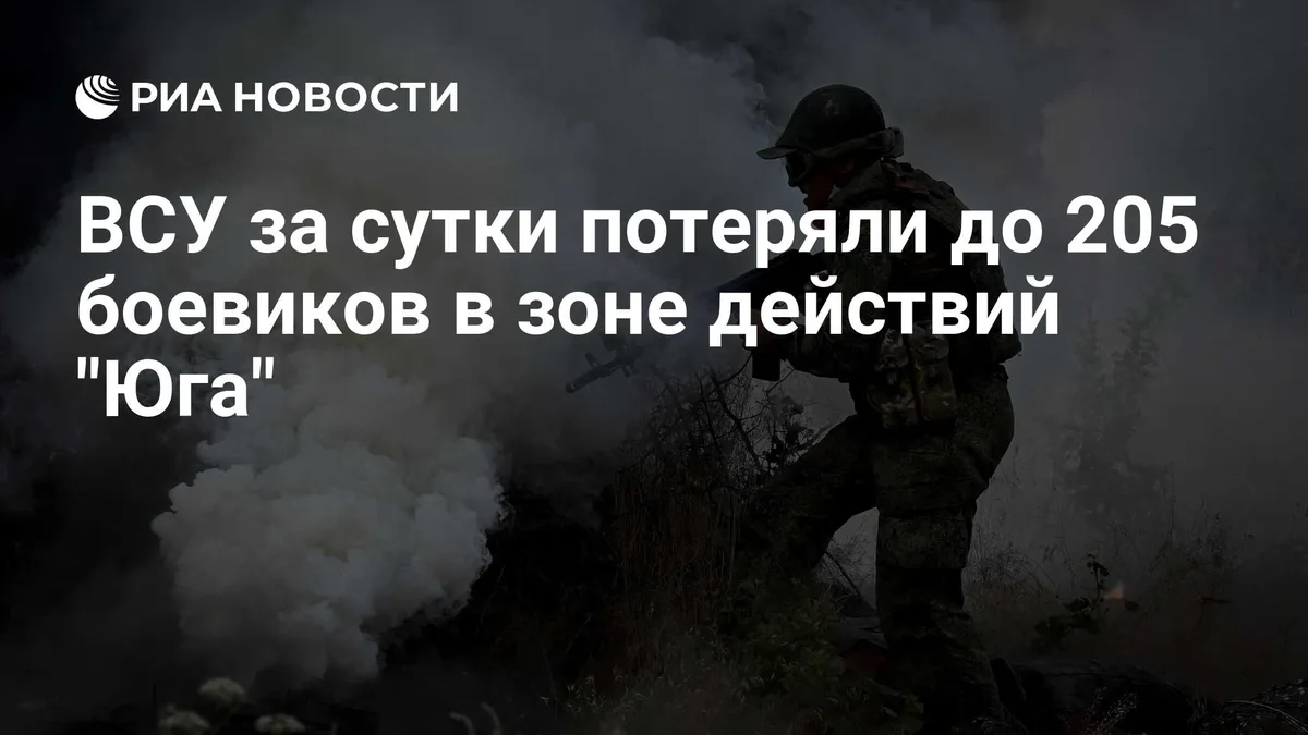 ВСУ за сутки потеряли до 205 боевиков в зоне действий "Юга"