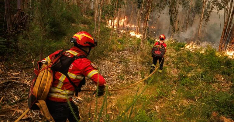 Fogo em Setúbal destrói barracas de hortas do IHRU