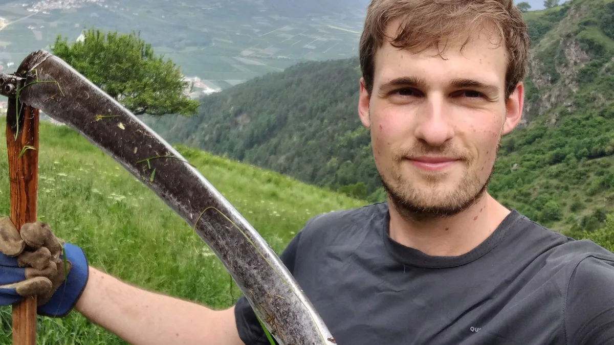 Arbeitsurlaub in den Alpen: Es bringt rein gar nichts, Kühen hinterherzurennen