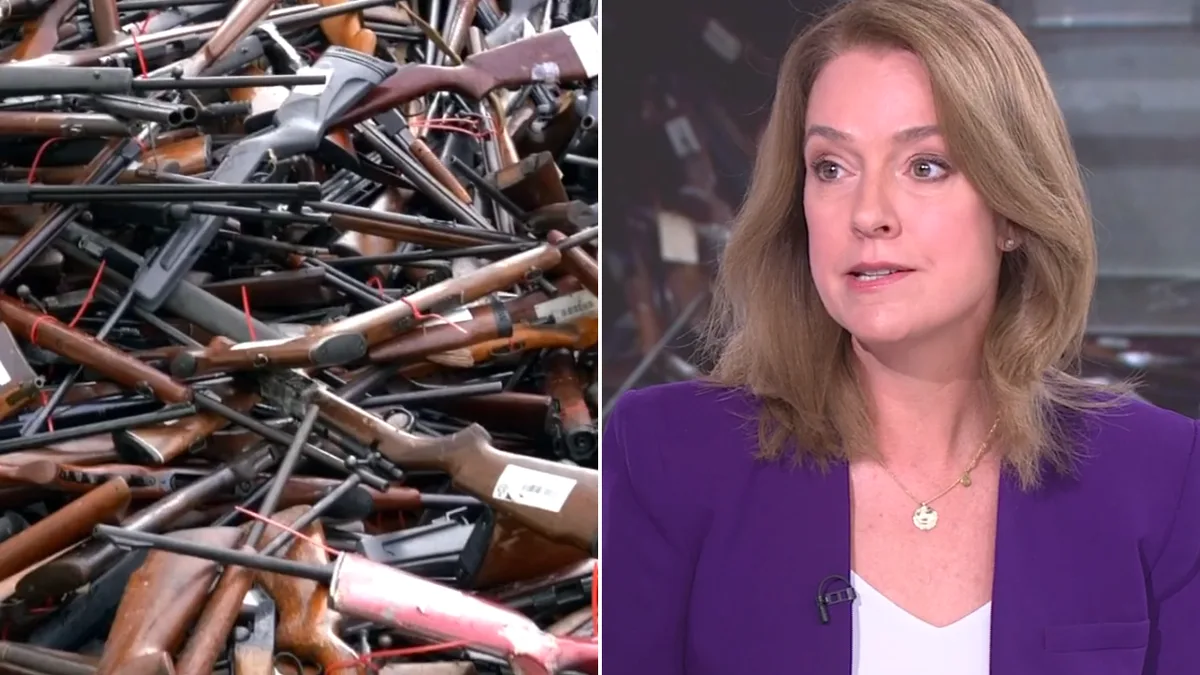 ‘Won’t prevent the next Bondi’: NSW opposition leader hits out at Labor’s gun buyback scheme