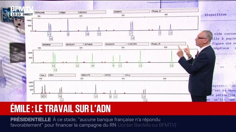 Affaire Émile: à quoi ressemble un ADN prélevé et séquencé et comment les enquêteurs l'analysent-ils?