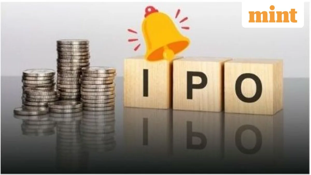 Investing in an IPO? 10 warning signs to look for before placing your bet