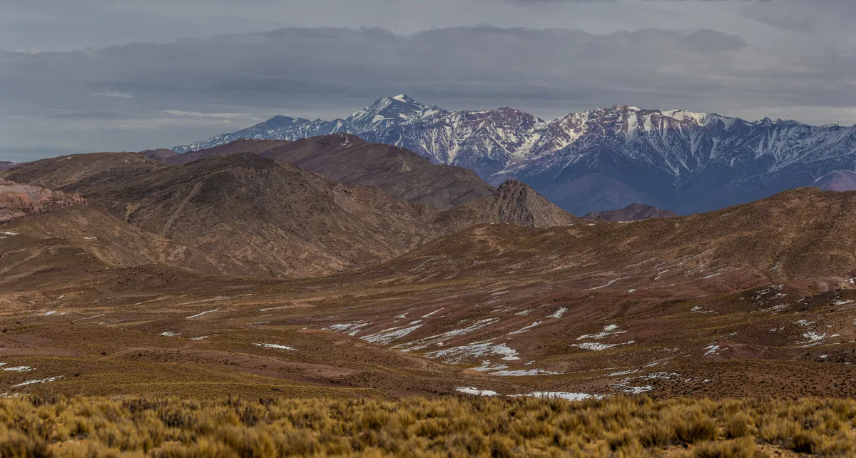 Agua y biodiversidad: la historia detrás de la reserva mendocina que cumple 26 años