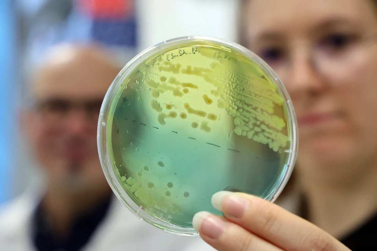 Antibiorésistance : pourquoi l’Union européenne refuse la viande brésilienne