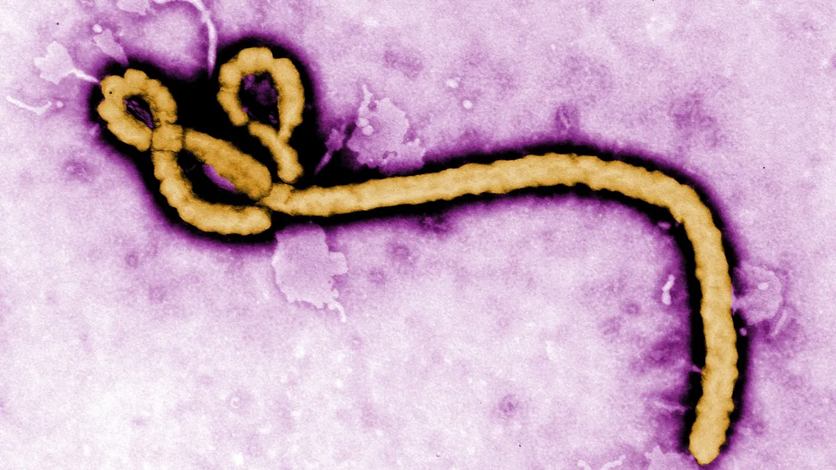Quênia confirma primeiro caso de ebola da história do país