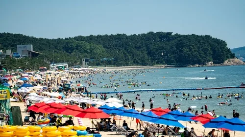 5∼7월 해수욕장 내비 검색 1위는 대천…광안리·해운대 제쳤다
