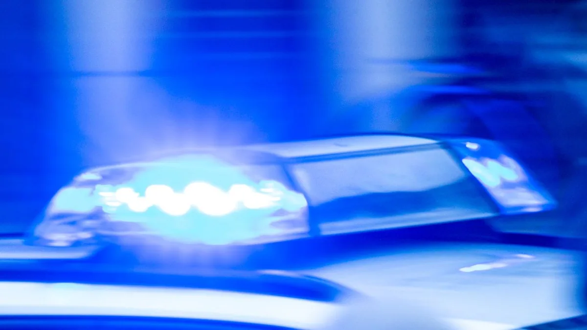 Landkreis Rostock: Bulle auf Koppel enthauptet - Polizei ermittelt