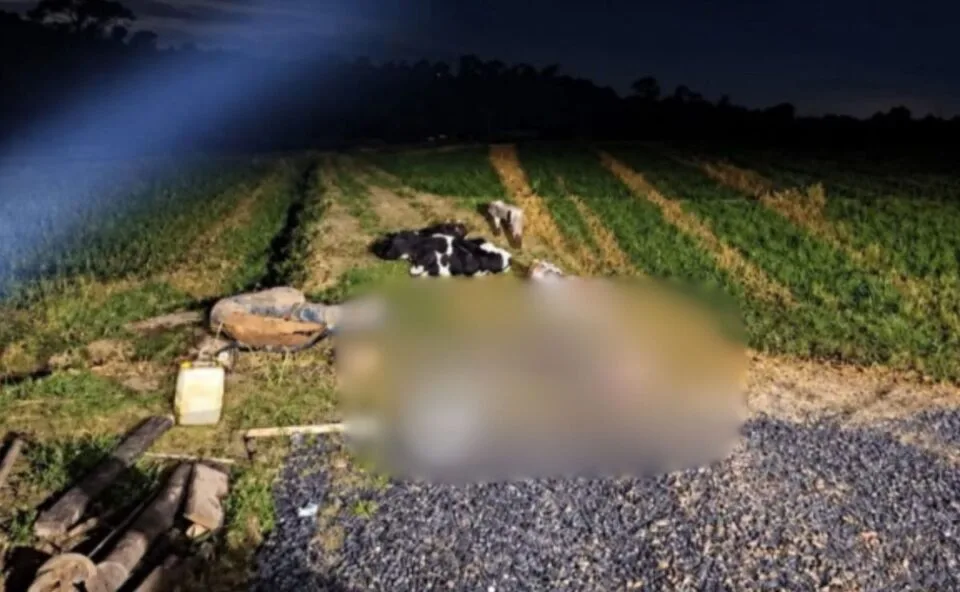 Homem morre eletrocutado e é encontrado pelas filhas preso em cerca elétrica