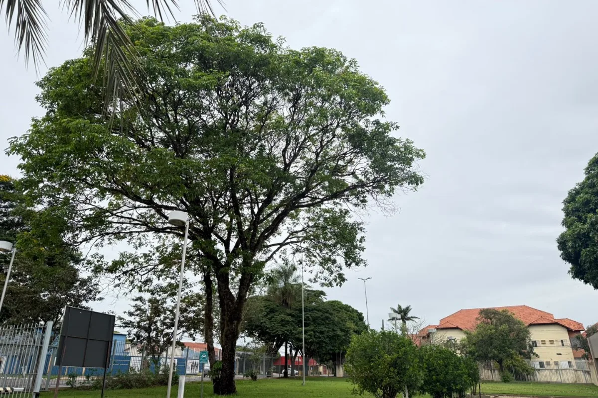 Frente fria derruba temperaturas, e feriado deve ser ainda mais gelado em MS; veja a previsão
