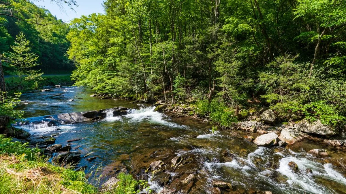 West Virginia family donates 47 acres, expanding state park by about 13%