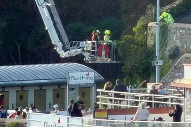 Python on the loose in Plymouth with 'gridlock' as fire crews close road
