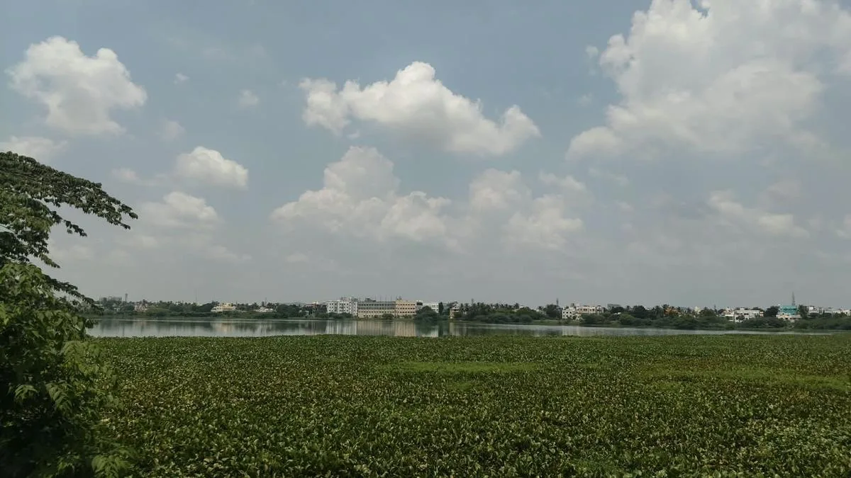 Sembakkam lake continues to face sewage pollution despite repeated representations