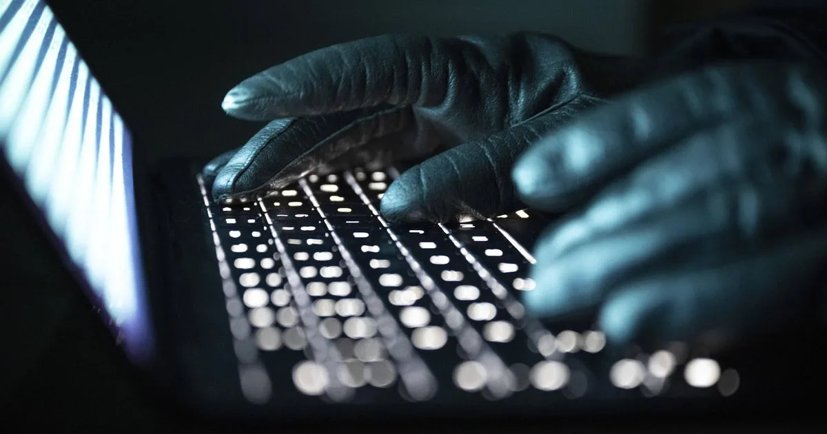 « Si jamais nous sommes la cible d’un hacker, que va-t-il se passer ? » : après des fuites de données, les entreprises s’inquiètent des failles de l’État