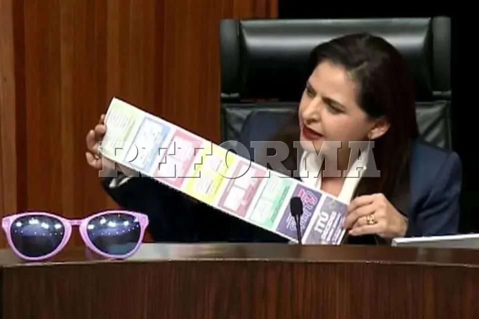 Renuncia Mónica Soto a magistratura en el TEPJF