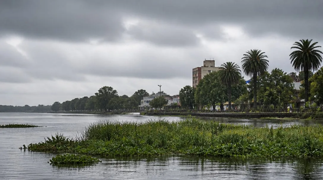 Clima en Formosa hoy lunes 12 de octubre: lluvia ligera y cielo cubierto