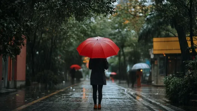 Lisboa e Oeste amanhecem sob chuva e trovoada. Os conselhos (e imagens)