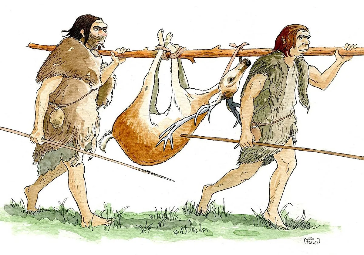 Los neandertales no solo fueron canteros, también carpinteros