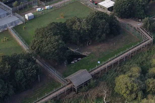 Yorkshire Wildlife Park hero 'tried to stop man leaping into tiger's enclosure' before he was mauled to death