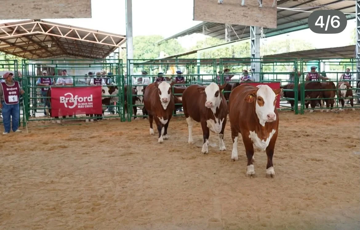 Braford firmó un convenio con ArgenINTA para acercar tecnología a los productores ganaderos