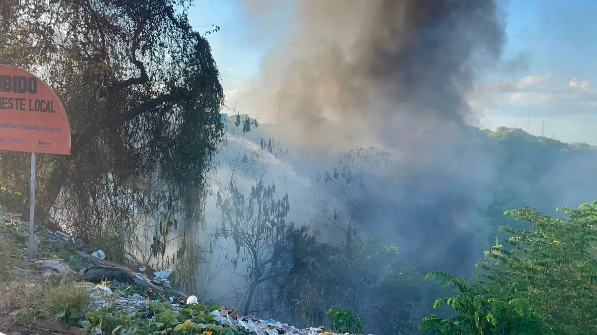Incêndio atinge área de vegetação na Zona Leste de Manaus