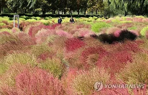 대구·경북 구름 많고 일부 소나기…낮 최고 23∼28도