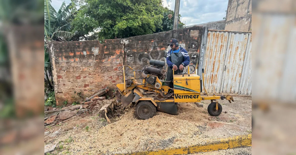 Prefeitura de Apucarana faz parceria para ampliar a retirada gratuita de tocos nas calçadas