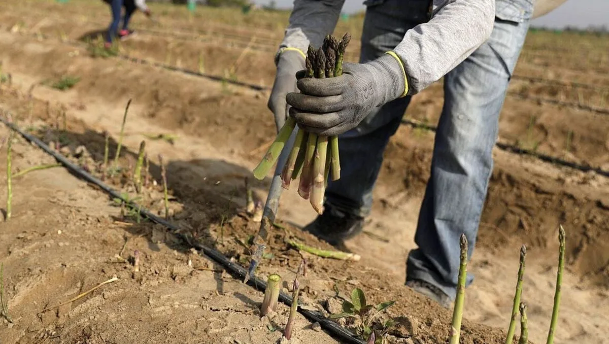 Colombia pone en mira la agroindustria peruana tras invertir más de USD 25 mil millones en energía e infraestructura