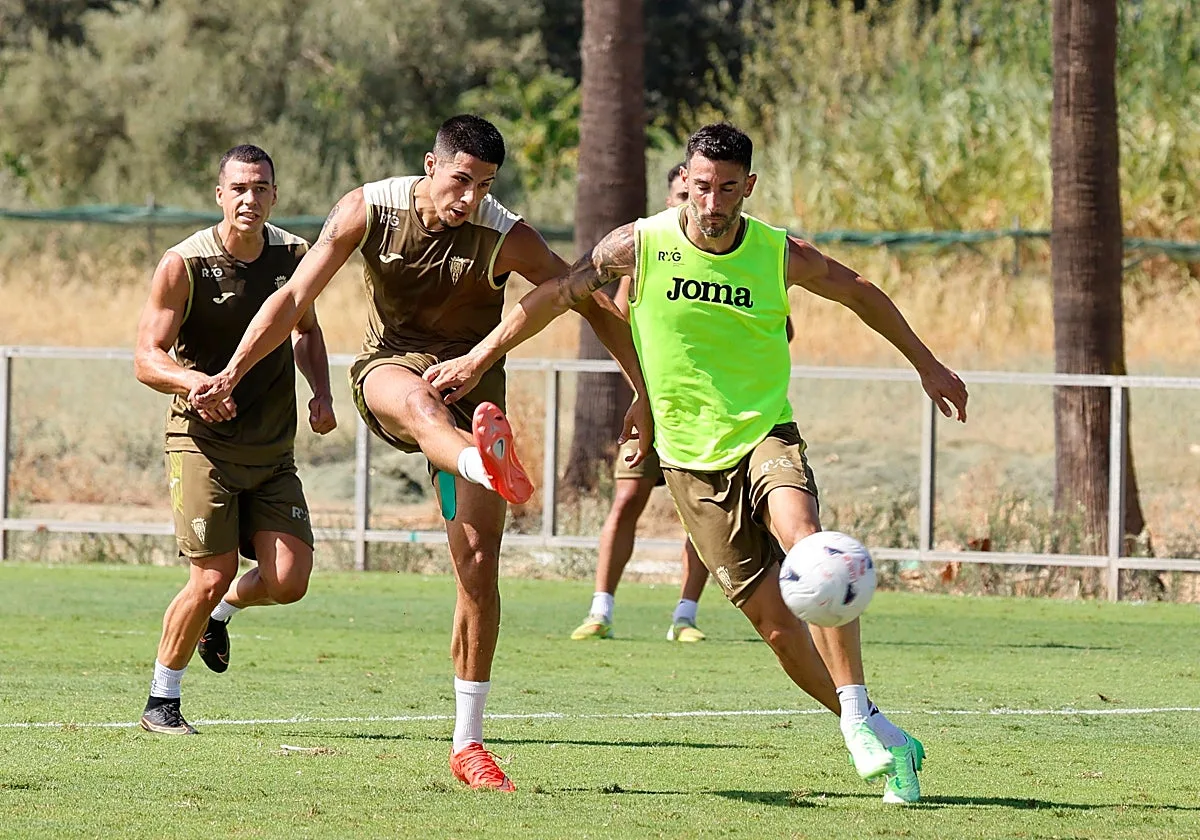 El Arcángel mide la reacción de un Córdoba CF herido ante la dinamita del Almería