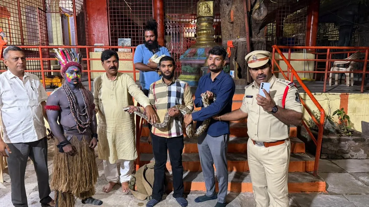 Python rescued from dance troupe during Ganesh procession in Hyderabad