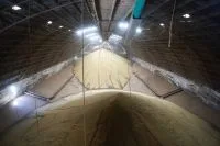 Federarroz acionará autoridades por vendas irregulares de arroz tipo 1