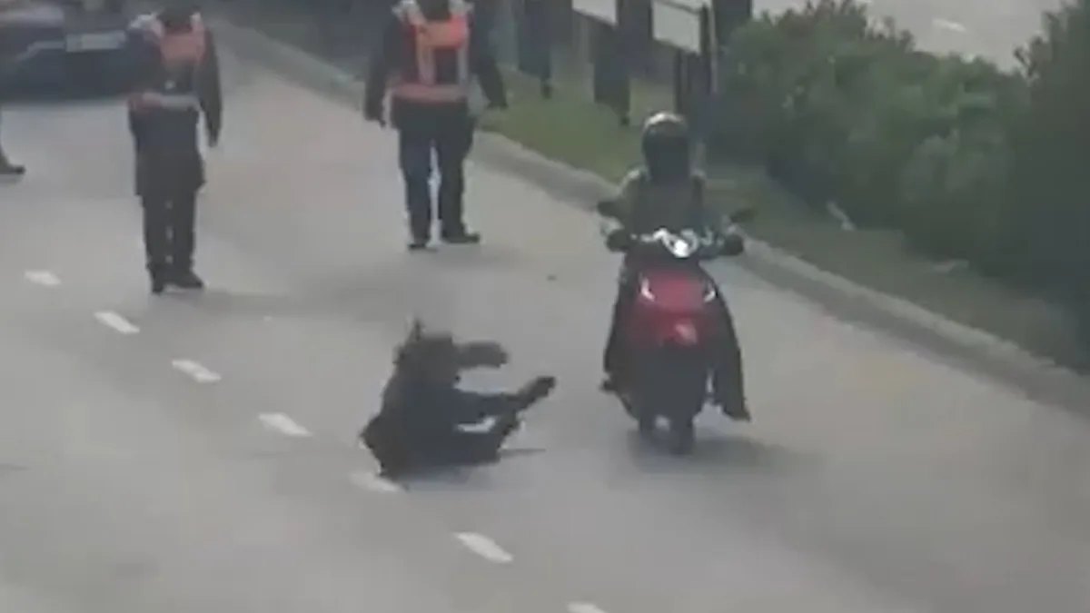 Video: atropelló a una inspectora de tránsito, se fugó y terminó detenida tras una intensa persecución