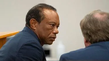 Tiger Woods bekennt sich schuldig